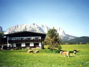 Image of Wilder Kaiser or Kitzbüheler Horn double room with shower \/ WC - Pension Sunnbichl