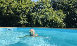Image of Cozy country home with pool