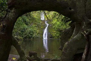 Image of Waipio Valley Botanical Garden with Waterfall & Beach Access!