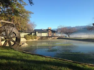 Image of 12 acre Ranch with Pickle Ball with lights, Pool, Jacuzzi views and Cows