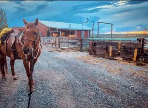 Image of Heart Strings Ranch- Nestled on the Eastern flanks of Heart Mountain, near horses!