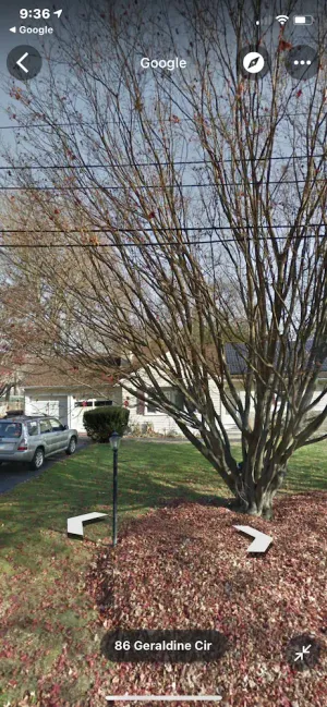 Image of Studio apartment