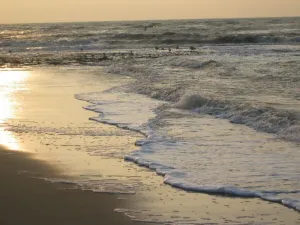 Image of Luxury vacation apartment only 100 m from the beach and city