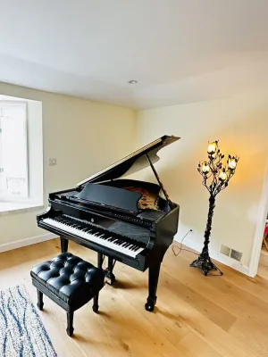 Image of Cheerful 4 bedroom single home next to Stanford remodeled recently