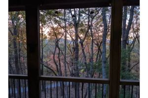 Image of Owl Landing Treehouse retreat with firepit. 12 minutes to Helen & Clarkesville!