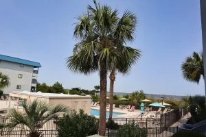 Image of Sun, Sand and Pool : Condo at Savannah, Tybee
