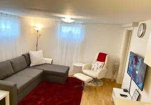 Image of Modern villa basement