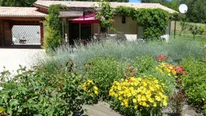 Image of A wooden house in the meadow in the heart of Haute Provence