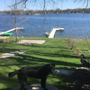 Image of Family And Pet-Friendly On Waubeesee Lake ~ Includes Kayaks!