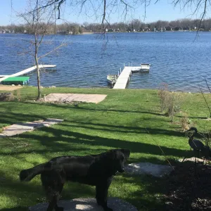 Image of Family And Pet-Friendly On Waubeesee Lake ~ Includes Kayaks!