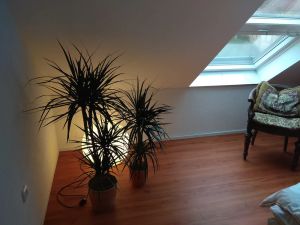 Image of Loft vacation apartment near Baden-Baden