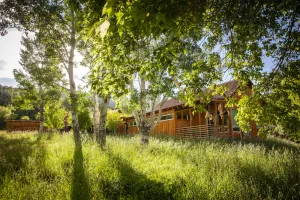 Image of Pet Friendly Contemporary Ranch Home with Stunning Views on Main Elk Creek!