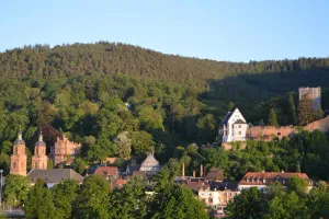 Image of Panorama-Blick Miltenberg, 3 Pers., zentr., am Main, Terrasse, Bootverleih, P