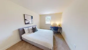 Image of Pine Brook Apartments: Luxurious living in a stunning wooded setting