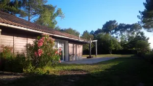 Image of Apartment full foot - 60m2 - 4 Person - 50m from the lake