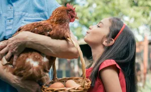 Image of NO CLEANING FEE! - Longer Stay Discounts! Backyard Chickens!