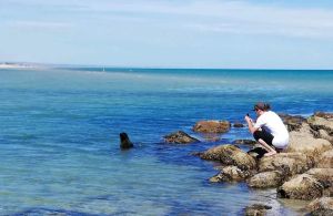 Image of Kangaroo Island in Style: Free WiFi, Beach Access, Wildlife, and Fishing!