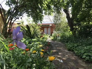 Image of CBD luxury - near cafes, parks & art. Free bikes