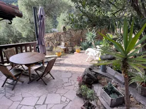Image of sunny green setting
