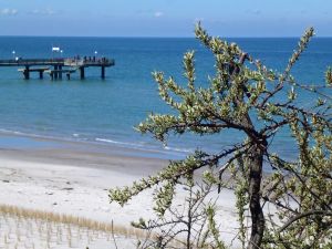 Image of Bungalow on the Baltic Cycle Route Rerik - Bungalow with Terrace (50m², max 4 persons)