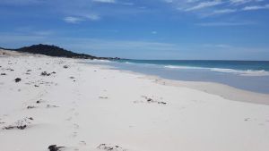 Image of Amazing Ansons Bay remote paradise for the family in the Bay of Fires area