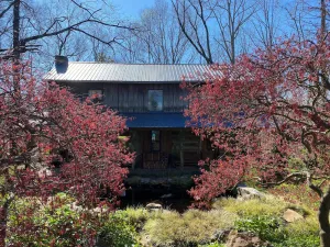Image of Log Cabin Country Retreat