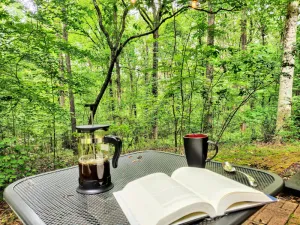 Image of Cozy Milton Guest Suite with Private, Wooded Patio & Kitchenette