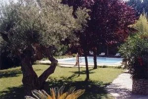 Image of Large studio with swimming pool in the Cassis Calanques park