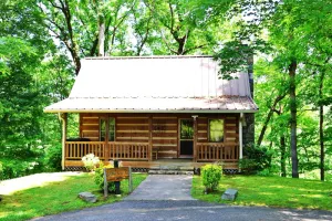 Image of The Ridge: Fire Pit, Screened Porch, Scenic Views, Gas Grill, Full Kitchen, Pet-Friendly