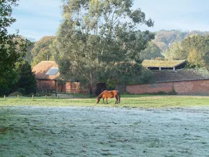 Image of In an idyllic location in the New Forest National Park, with miles of footpaths from the doorstep.