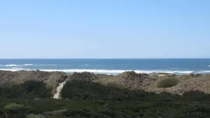 Image of Beach front, 1 bedroom, dog friendly - Deja View