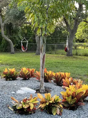 Image of Close to beach ! 3 Bdrm , 2 Bath - Duplex