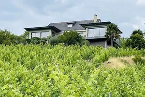 Image of Villa au Cœur des Vignes