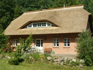 Image of Premium apartment in the Biosphere Reserve Southeast Rügen - apartment in a dream location