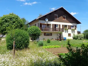 Image of 3 fir trees - 3 star apartment