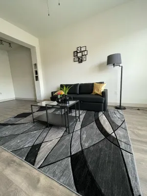 Image of Luxury apartment 8 minutes away from the galleria mall!