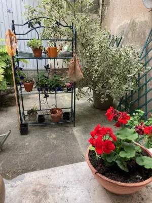 Image of 70m² Apartment \/ near the river and close to the city center