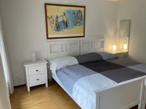 Image of Bright large 1 room apartment with balcony