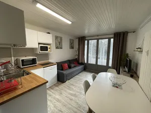 Image of Studio cosy, balcon, parking, animaux OK, proche pistes - FR-1-787-17