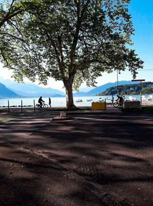 Image of 55 m²/ Chez LÔrette/ 250m LAKE/ PRIVATE PARKING