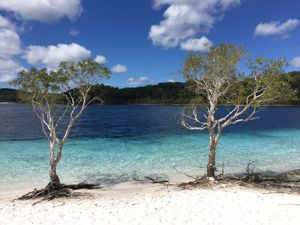 Image of Splendid Cooloola 705 Villa @Kingfisher Bay Resort Fraser Island