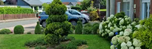 Image of Beautiful holiday apartment Marika in Bad Wildungen-Albertshausen.