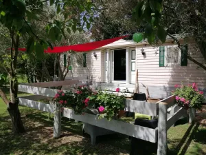 Image of Bungalow Olivier du Mas Maurane
