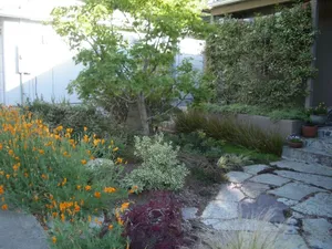 Image of Gorgeous eco-friendly Berkeley hills home & garden near UC Berkeley