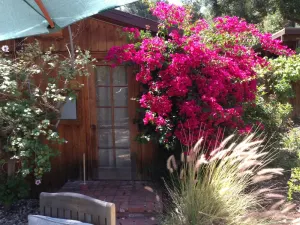 Image of Westlake Village Country Guest Cottage in Lush Private Country Setting