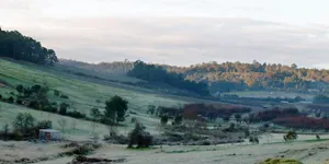 Image of Bickley Valley Cottage