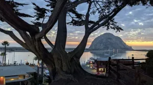 Image of Captain's-SPECTACULAR bay\/ocean views-980 sq ft - Dog Friendly!