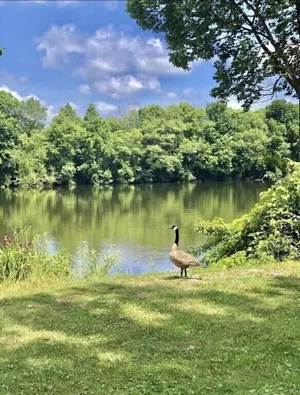 Image of Peaceful and Historic River Home - direct access, steps to Saint Joseph River