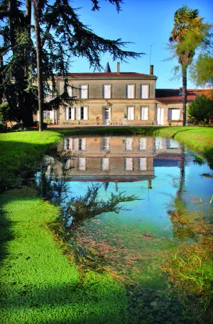 Image of Mansion in the heart of the vineyards