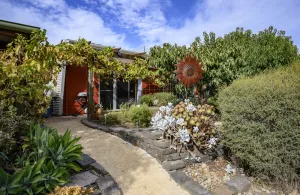 Image of Luxurious, stylish, cosy and clean - Eco living and non smoking village